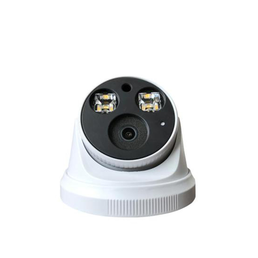 Wardmay 2MP HD Dome Indoor Full Color Video Surveillance IP Camera